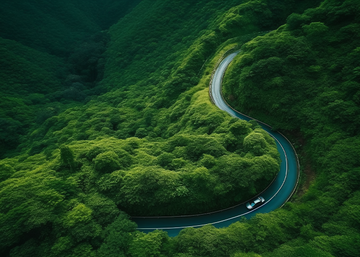 SOCIAL RESPONSIBILITY